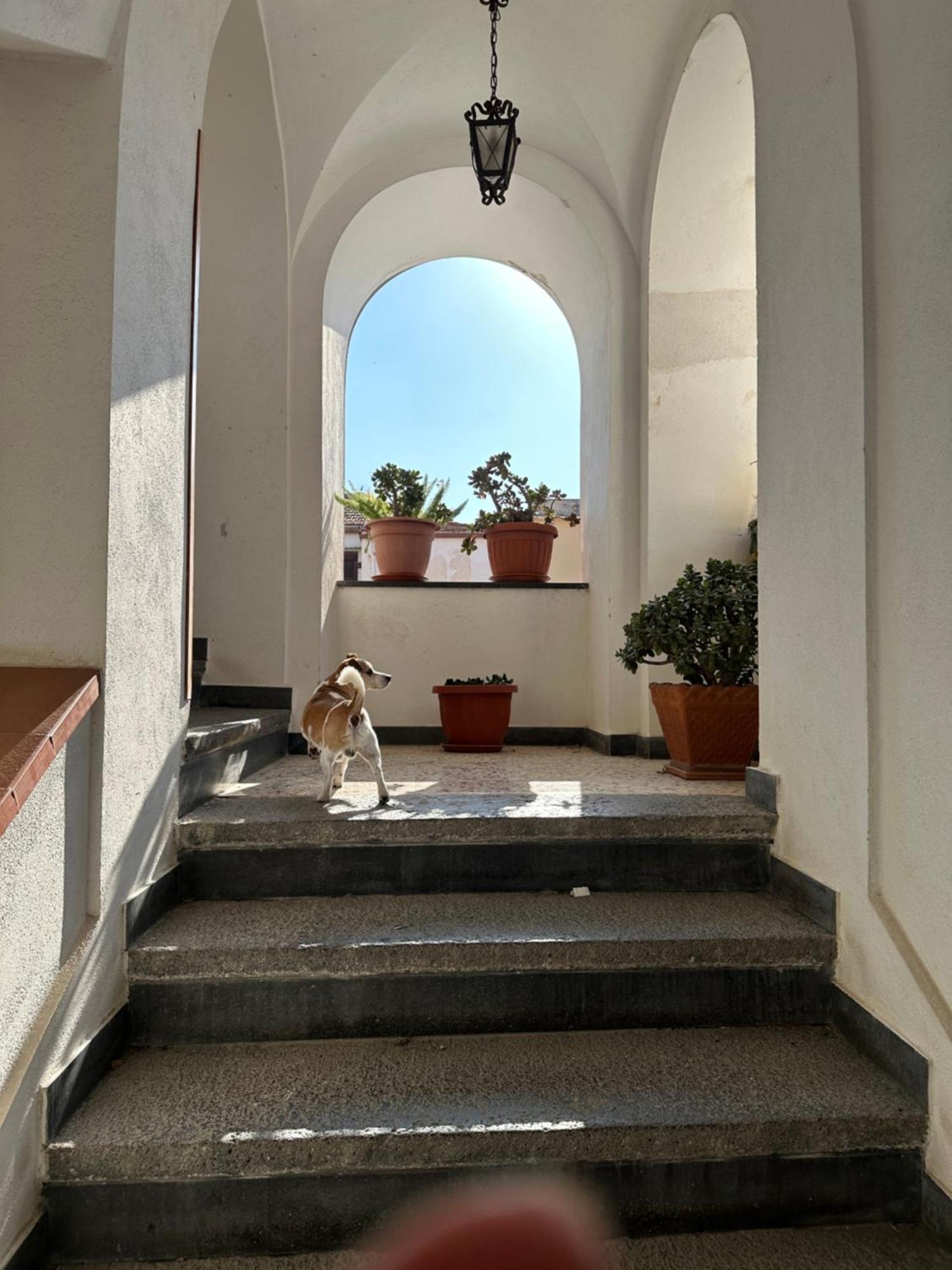 B&B Frai Sorrento Exterior photo