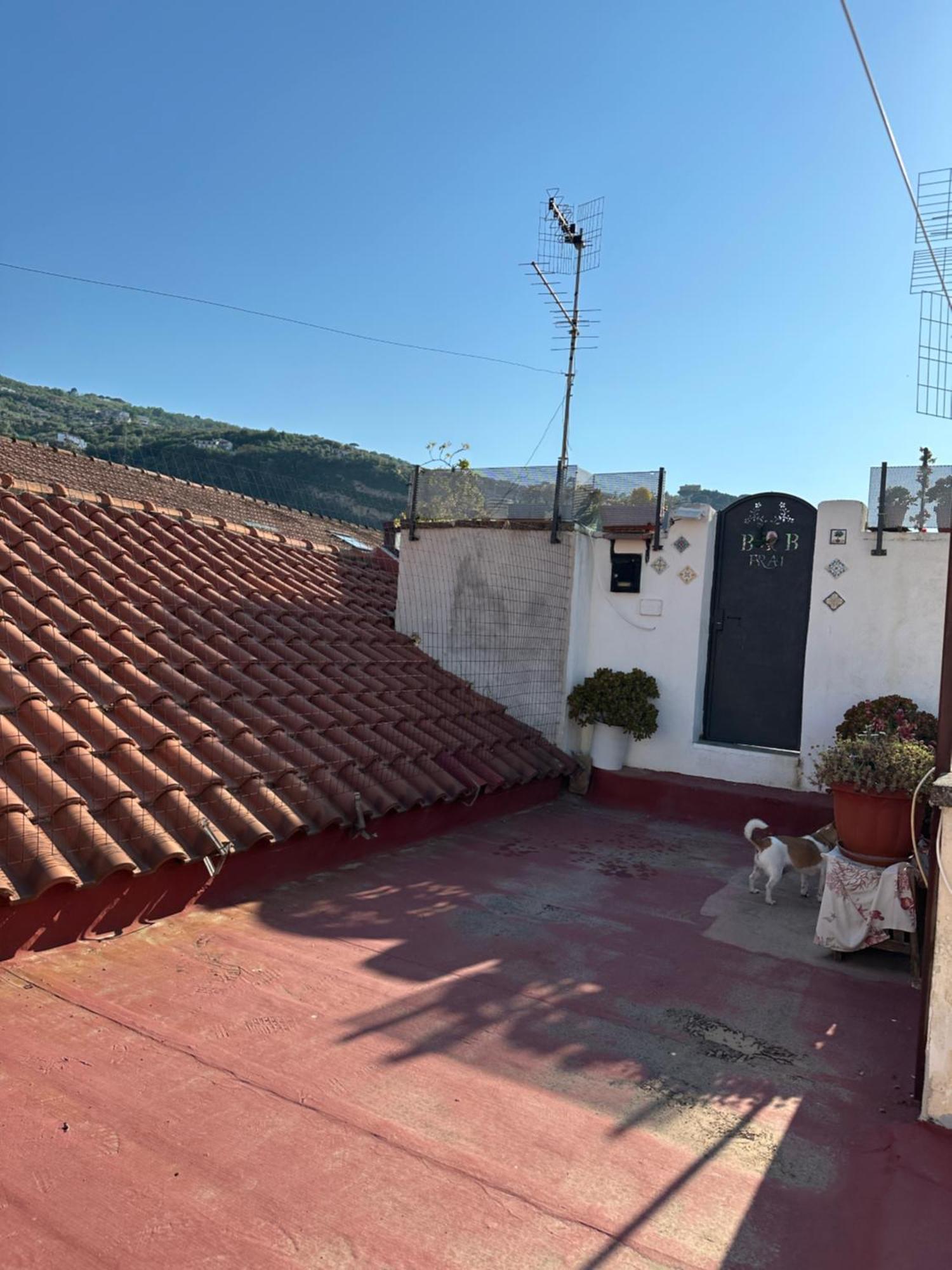 B&B Frai Sorrento Exterior photo